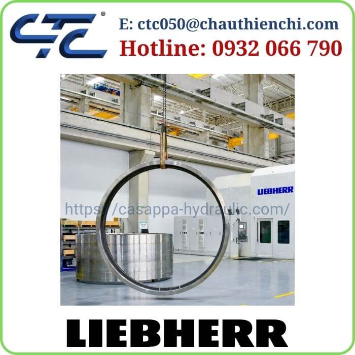 Vòng Bi Liebherr Blade Bearings Wind Turbine Chính Hãng